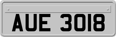 AUE3018