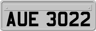 AUE3022