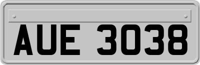 AUE3038