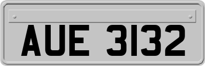 AUE3132