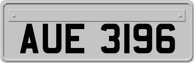 AUE3196