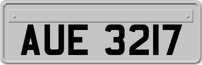 AUE3217