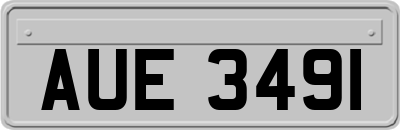 AUE3491