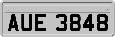 AUE3848