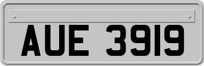 AUE3919