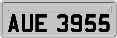AUE3955