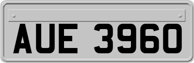 AUE3960
