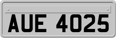 AUE4025