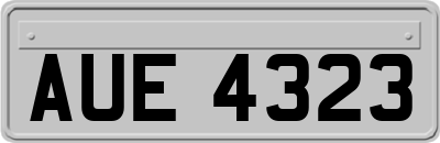 AUE4323