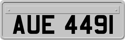 AUE4491