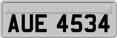 AUE4534
