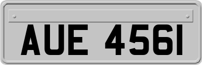 AUE4561