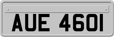 AUE4601