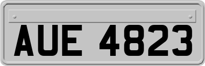 AUE4823