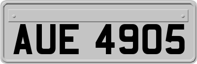AUE4905