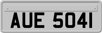 AUE5041