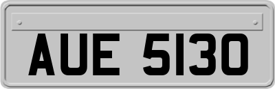 AUE5130
