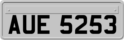 AUE5253