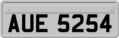 AUE5254