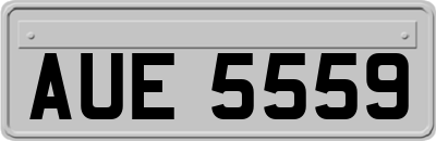AUE5559