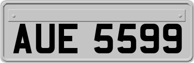 AUE5599
