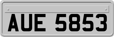 AUE5853