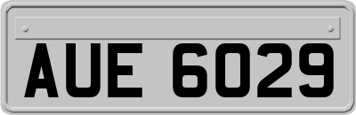 AUE6029