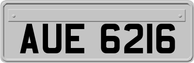 AUE6216