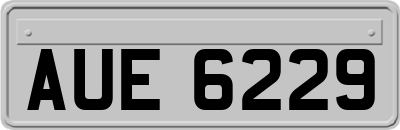 AUE6229