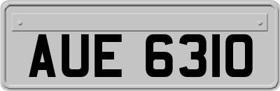 AUE6310