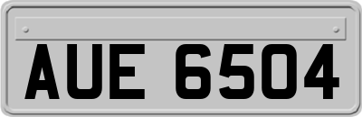 AUE6504
