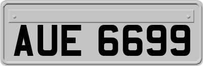 AUE6699