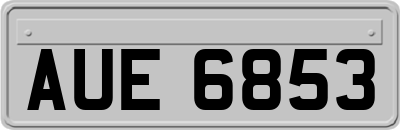 AUE6853