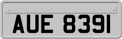 AUE8391