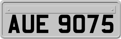 AUE9075