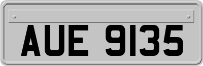 AUE9135