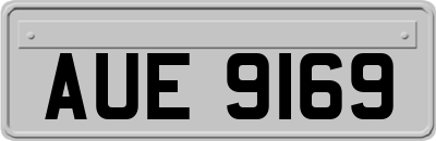 AUE9169
