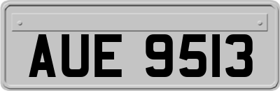 AUE9513