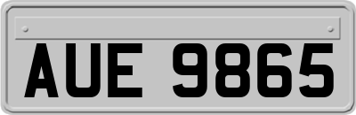 AUE9865