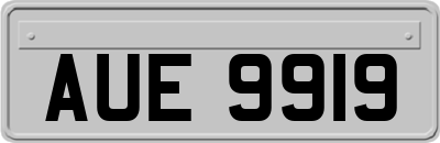 AUE9919