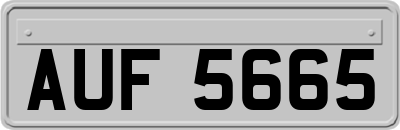 AUF5665