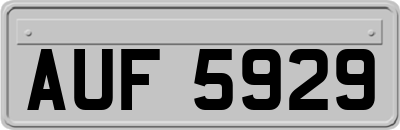 AUF5929