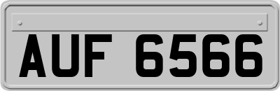 AUF6566