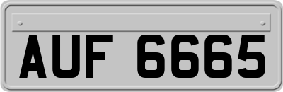 AUF6665