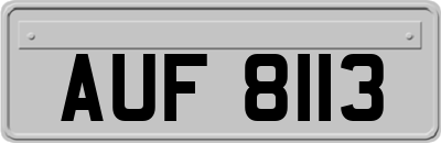 AUF8113