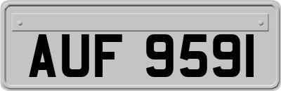 AUF9591