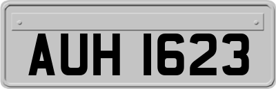 AUH1623