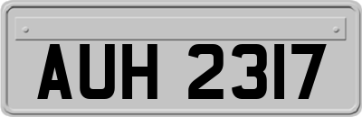 AUH2317