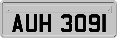 AUH3091