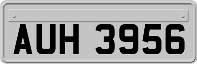 AUH3956
